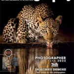 Australian Photography - Photographer of Year 2025