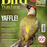 Bird Watching UK - December 2025 Bird Watching UK - December 2025