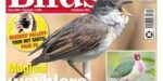 Cage & Aviary Birds - Issue 6396, 03 December 2025