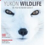 Canadian Geographic - January/February 2026