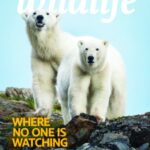 Canadian Wildlife - Vol 31 No 6, January/February 2026