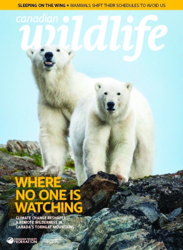 Canadian Wildlife - Vol 31 No 6, January/February 2026
