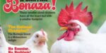 Chickens - January/February 2026