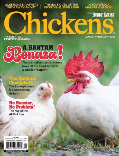 Chickens - January/February 2026
