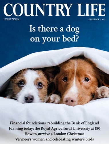 Country Life UK - December 03, 2025