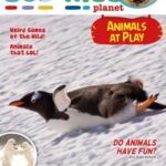 Eco Kids Planet Magazine - Issue 134, December 2025