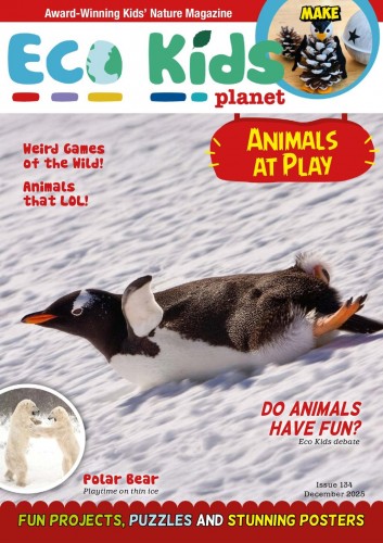 Eco Kids Planet Magazine - Issue 134, December 2025