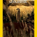 National Geographic USA - Vol. 249, No. 1 January 2026
