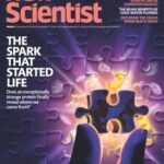 New Scientist Australian Edition - No. 3572, 06 December 2025 New Scientist Australian Edition - No. 3572, 06 December 2025