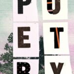 Poetry - December 2025