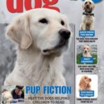 Your Dog - January 2026